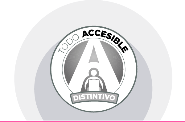 The three types of accessibility badges are shown, all have the same format which consists first of a letter 