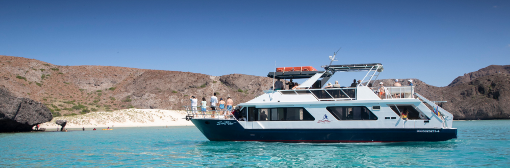 The image shows a two-story boat sailing on the sea. On the boat, people are enjoying the scenery. The landscape includes mountains and sandbanks, all under a clear sky that merges with the color of the sea. The image shows a panoramic view of a large area with buildings. Four very large buildings surrounded by vegetation, trees, and pools stand out, giving it the appearance of a residential area. More buildings can be seen on the sides.